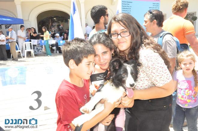 תמונה גדולה